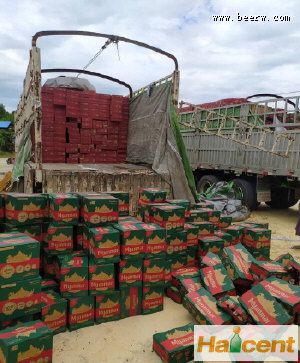 缅甸高林人民保卫军销毁缅军企业生产的啤酒